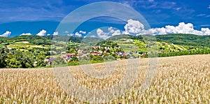 Idyllic agricultural landscape of Kalnik mountain