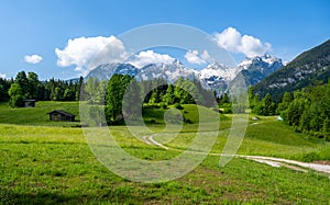Idyllic alpine landscape, blooming meadow with snow-covered mountains in the background, Lofer, Salzburger Land, Austria
