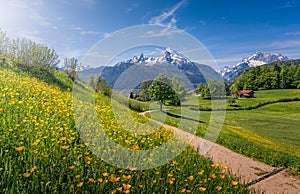 Idyllic alpine landscape with blooming meadows and snow-covered mountain tops