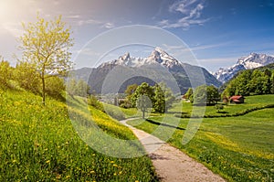 Idyllic alpine landscape with blooming meadows and snow-covered mountain tops