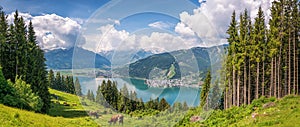 Idyllic alpine landscape with cows grazing and famous Zeller Lake, Salzburg, Austria