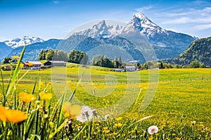 Idyllic alpine landscape with green meadows, farmhouses and snowcapped mountain tops photo