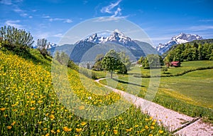 Idyllic alpine landscape with green meadows, farmhouses and snowcapped mountain tops photo