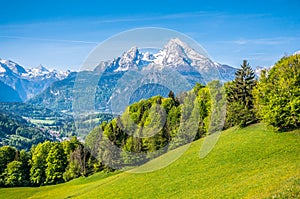 Idyllic alpine landscape with green meadows, farmhouses and snowy mountain tops