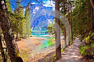 Idyllic Alpine walkway by Pragster Wildsee lake photo