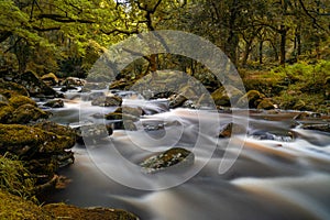 Idyllic autumn forest woodlands scene with a river fowing through it over rocks and boulders