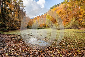 Idyllic autumn lake scenery on yedigoller park in Bolu.