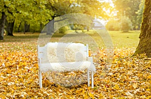 Idyllic autumn set with small white bench with soft sheepskin, lot of golden autumn maple leaves covering ground in park.