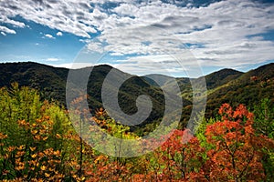 Idyllic autumn on Zumberak hills