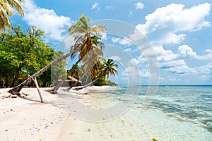 Idyllic beach at Caribbean