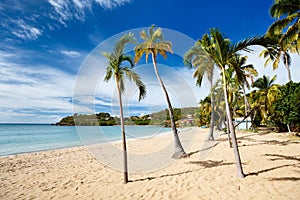 Idyllic beach at Caribbean