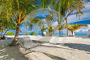 Idyllic beach with coconut trees and hammock. Luxury amazing beach scene vacation and summer holiday concept