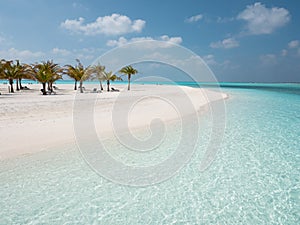 Idyllic Beach on Maldives on Meeru Island with Palm Trees