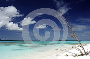 Idyllic beach in New Caledonia