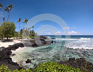 Idyllic beach with palm trees, sand and rocks at Lefaga, Matautu, Upolu Island, Samoa, South Pacific photo