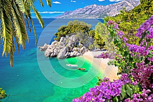 Idyllic beach Punta Rata in Brela aerial view