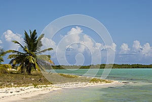 Idyllic beach scene