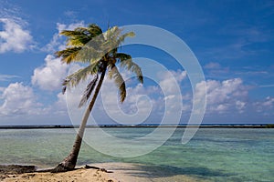 Idyllic Beach Scene in French Polynesia