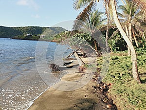 An idyllic beach in the southern Caribbean