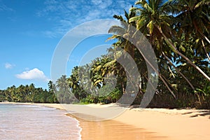 Idyllic beach. Sri Lanka