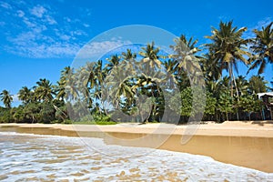 Idyllic beach. Sri Lanka