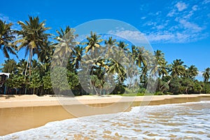 Idyllic beach. Sri Lanka