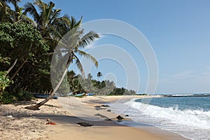 Idyllic beach. Sri Lanka