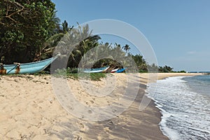 Idyllic beach. Sri Lanka