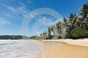 Idyllic beach. Sri Lanka