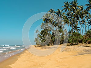 Idyllic beach in Sri Lanka