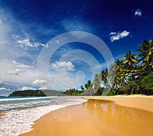 Idyllic beach. Sri Lanka