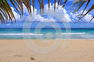 Idyllic Caribbean beach bordered above by palm frond photo