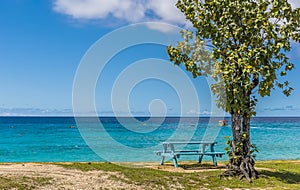 An idyllic Caribbean beach in Bridgetown, Barbados