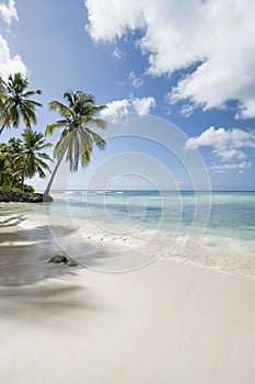 Idyllic Caribbean coastline