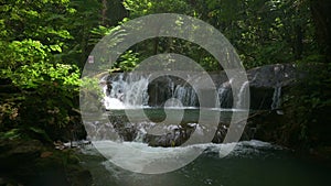 Idyllic cascade scene with water flows over the rocks surrounded by lush foliage plants in rainforest. Lifting up shot.