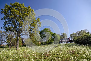 Idyllic country cottage