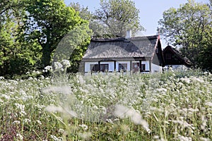 Idyllic country cottage