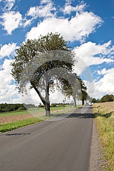 Idyllic country road