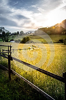 Idyllic countryside landscape: Meadow, road and mountains, Bavaria, Germany