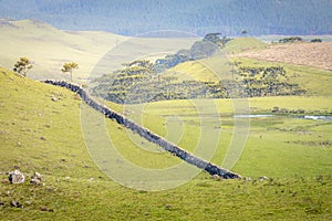 Landscape near Sao Jose dos Ausentes with tapera - southern Brazil photo