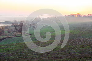 Idyllic Countryside Morning Landscape with Agriculture Field Fog Sunrise