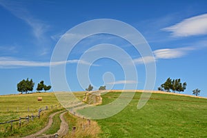 Idyllic countryside scenic meadow and sky view