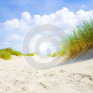 Idyllic dunes with sunlight