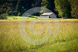 Idyllic farm house and wild flower meadow in morning