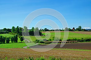 Idyllic Farm Landscape