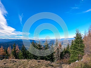 Idyllesch Bësch panoramesch Vun schnéi gekappt bierg Vun gesinn Alpen 