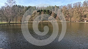 Idyllic forest pool, surrounded by dense trees