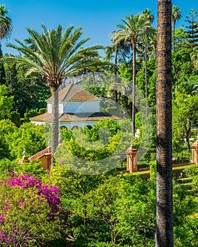 The idyllic garden in the Royal Alcazars of Seville, Andalusia, Spain.