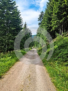 Idyllic gravel road through the Hiking area in the black forest