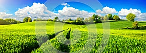 Idyllic green fields with vibrant blue sky